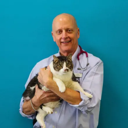Dr. Bill Folger's staff photo from Memorial Cat Hospital. He is petting a white cat on his lap.